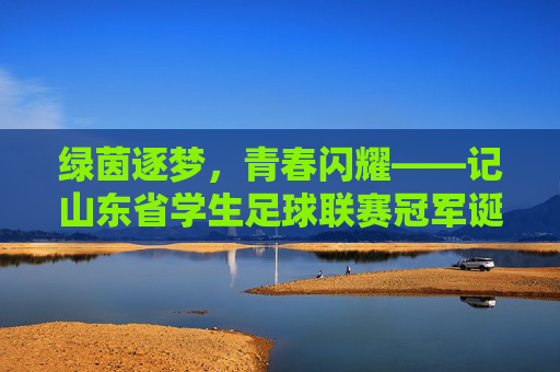 绿茵逐梦，青春闪耀——记山东省学生足球联赛冠军诞生记，绿茵逐梦，青春闪耀——山东省学生足球联赛冠军诞生
