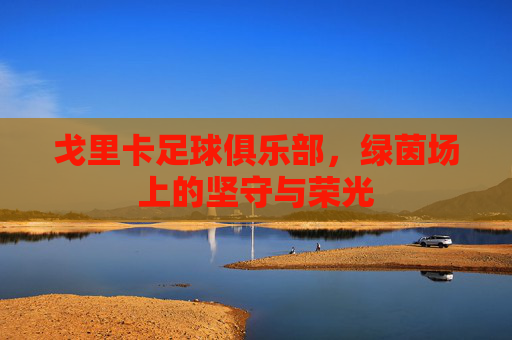 戈里卡足球俱乐部,绿茵场上的坚守与荣光 戈里卡足球俱乐部,绿茵场上的坚守与荣光