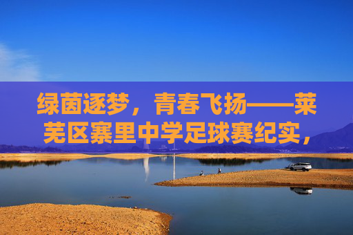 绿茵逐梦，青春飞扬——莱芜区寨里中学足球赛纪实，绿茵逐梦，青春飞扬——莱芜区寨里中学足球赛纪实