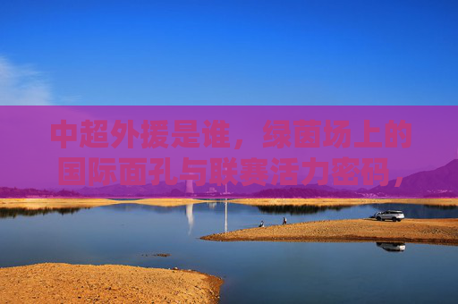 中超外援是谁,绿茵场上的国际面孔与联赛活力密码,中超外援,国际面孔与联赛活力密码 中超外援是谁,绿茵场上的国际面孔与联赛活力密码,中超外援,国际面孔与联赛活力密码