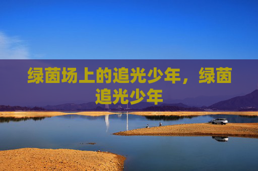 绿茵场上的追光少年，绿茵追光少年