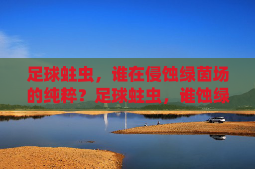 足球蛀虫,谁在侵蚀绿茵场的纯粹?足球蛀虫,谁蚀绿茵纯粹? 足球蛀虫,谁在侵蚀绿茵场的纯粹?足球蛀虫,谁蚀绿茵纯粹?