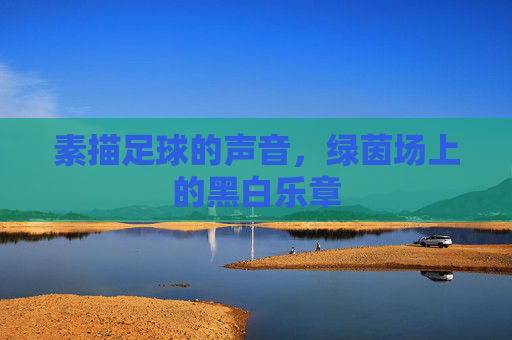 素描足球的声音，绿茵场上的黑白乐章