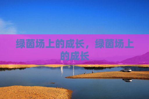 绿茵场上的成长，绿茵场上的成长