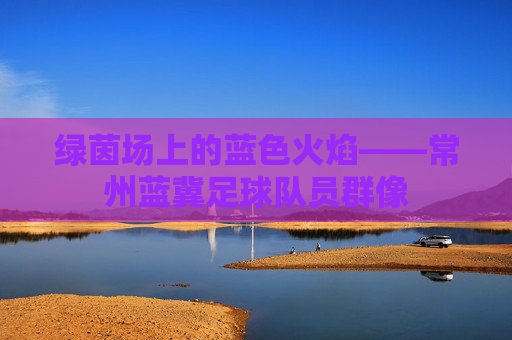 绿茵场上的蓝色火焰——常州蓝冀足球队员群像