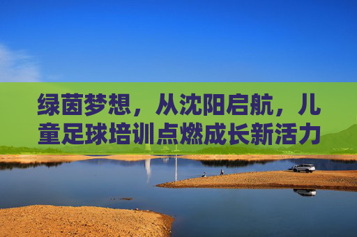 绿茵梦想，从沈阳启航，儿童足球培训点燃成长新活力，绿茵梦想从沈阳启航，儿童足球点燃成长新活力