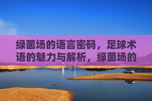 绿茵场的语言密码，足球术语的魅力与解析，绿茵场的语言密码，足球术语的魅力解析