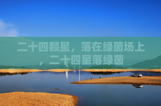 二十四颗星，落在绿茵场上，二十四星落绿茵