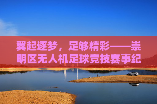 翼起逐梦，足够精彩——崇明区无人机足球竞技赛事纪实