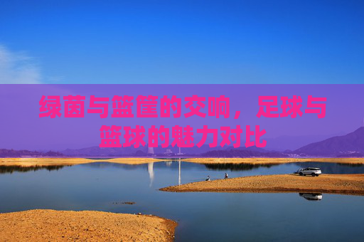 绿茵与篮筐的交响,足球与篮球的魅力对比 绿茵与篮筐的交响,足球与篮球的魅力对比
