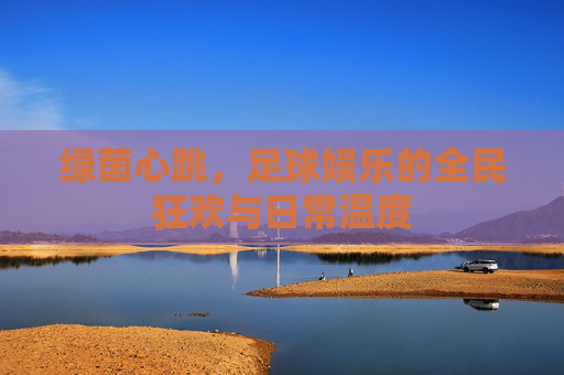 绿茵心跳,足球娱乐的全民狂欢与日常温度 绿茵心跳,足球娱乐的全民狂欢与日常温度
