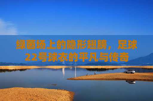 绿茵场上的隐形翅膀,足球22号球衣的平凡与传奇 绿茵场上的隐形翅膀,足球22号球衣的平凡与传奇
