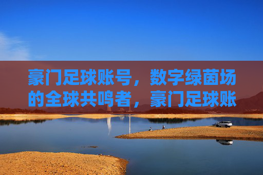豪门足球账号,数字绿茵场的全球共鸣者,豪门足球账号,数字绿茵场的全球共鸣者 豪门足球账号,数字绿茵场的全球共鸣者,豪门足球账号,数字绿茵场的全球共鸣者