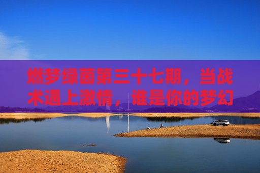 燃梦绿茵第三十七期，当战术遇上激情，谁是你的梦幻MVP？