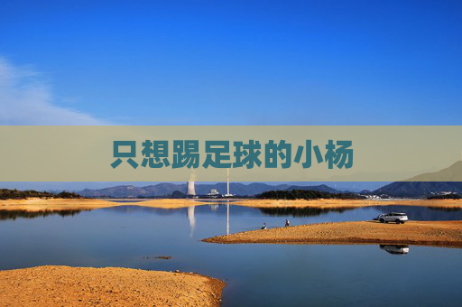 只想踢足球的小杨 只想踢足球的小杨