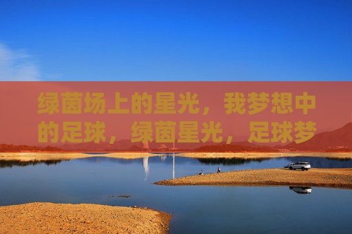 绿茵场上的星光，我梦想中的足球，绿茵星光，足球梦想