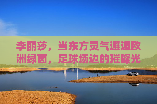 李丽莎，当东方灵气邂逅欧洲绿茵，足球场边的璀璨光芒，李丽莎，东方灵气邂逅欧洲绿茵，足球场边璀璨光芒