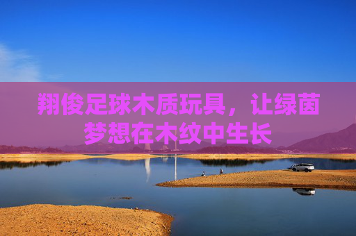 翔俊足球木质玩具，让绿茵梦想在木纹中生长