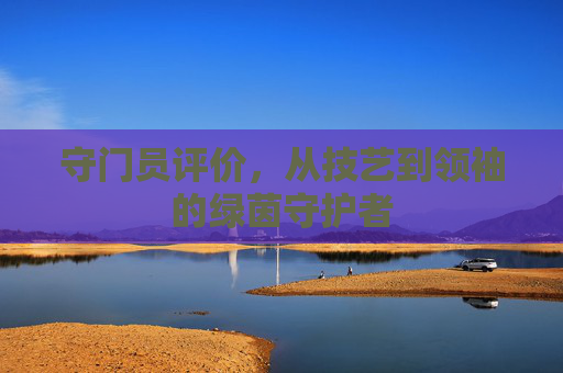 守门员评价，从技艺到领袖的绿茵守护者