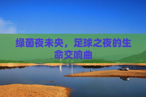 绿茵夜未央，足球之夜的生命交响曲