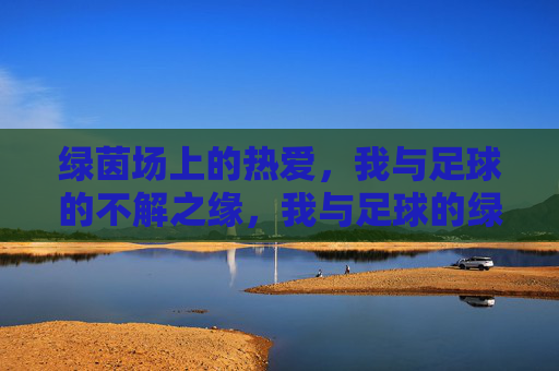 绿茵场上的热爱，我与足球的不解之缘，我与足球的绿茵情缘