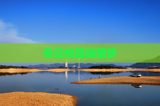 冬日校园绿茵梦 冬日校园绿茵梦