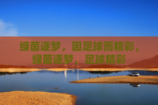 绿茵逐梦，因足球而精彩，绿茵逐梦，足球精彩