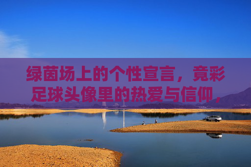 绿茵场上的个性宣言，竟彩足球头像里的热爱与信仰，竟彩足球头像，绿茵热爱的个性宣言