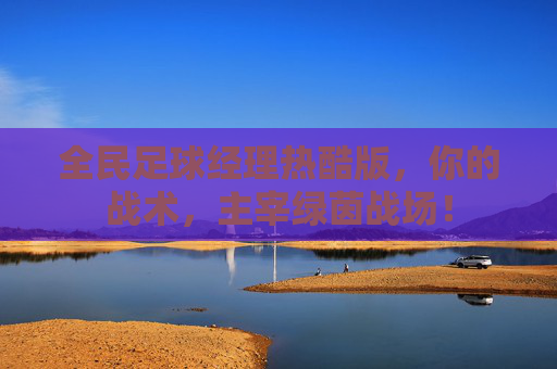 全民足球经理热酷版，你的战术，主宰绿茵战场！
