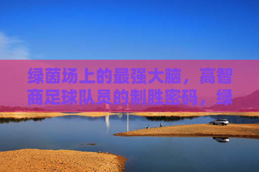 绿茵场上的最强大脑，高智商足球队员的制胜密码，绿茵场上的最强大脑，高智商球员的制胜密码