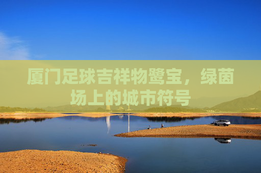 厦门足球吉祥物鹭宝，绿茵场上的城市符号