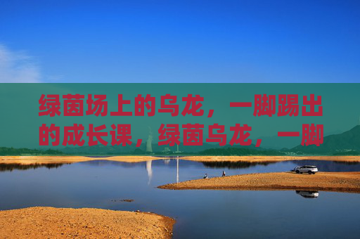 绿茵场上的乌龙,一脚踢出的成长课,绿茵乌龙,一脚踢出的成长课 绿茵场上的乌龙,一脚踢出的成长课,绿茵乌龙,一脚踢出的成长课