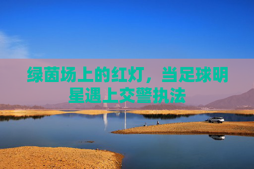 绿茵场上的红灯，当足球明星遇上交警执法
