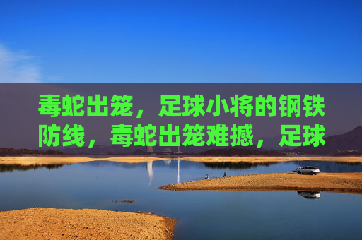 毒蛇出笼,足球小将的钢铁防线,毒蛇出笼难撼,足球小将钢铁防线 毒蛇出笼,足球小将的钢铁防线,毒蛇出笼难撼,足球小将钢铁防线