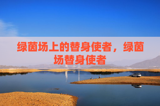 绿茵场上的替身使者,绿茵场替身使者 绿茵场上的替身使者,绿茵场替身使者