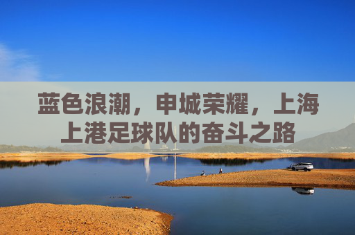 蓝色浪潮，申城荣耀，上海上港足球队的奋斗之路
