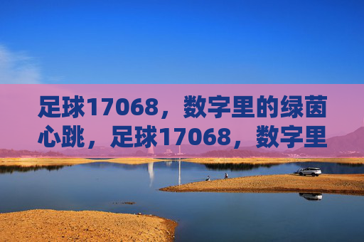 足球17068，数字里的绿茵心跳，足球17068，数字里的绿茵心跳