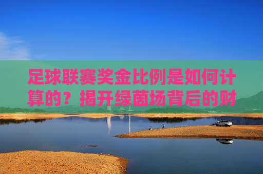 足球联赛奖金比例是如何计算的？揭开绿茵场背后的财富分配逻辑，足球联赛奖金比例计算，绿茵场财富分配逻辑