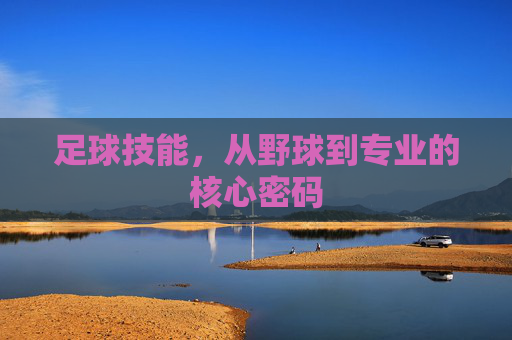 足球技能,从野球到专业的核心密码 足球技能,从野球到专业的核心密码
