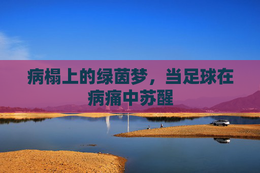 病榻上的绿茵梦,当足球在病痛中苏醒 病榻上的绿茵梦,当足球在病痛中苏醒
