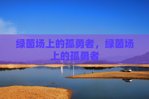 绿茵场上的孤勇者,绿茵场上的孤勇者 绿茵场上的孤勇者,绿茵场上的孤勇者