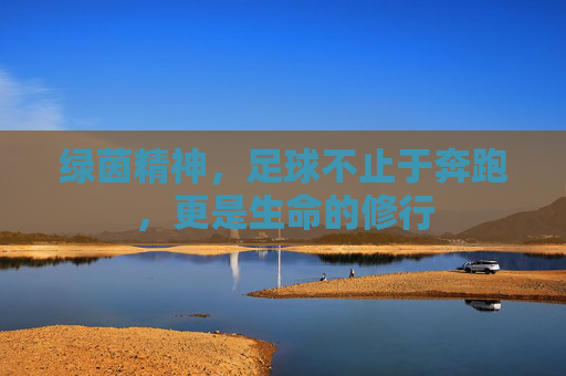 绿茵精神，足球不止于奔跑，更是生命的修行