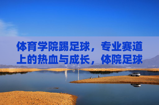 体育学院踢足球，专业赛道上的热血与成长，体院足球专业赛道，热血与成长之路