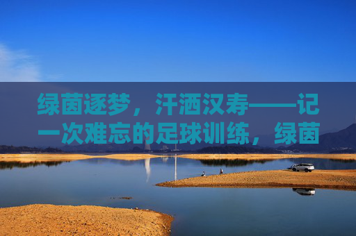 绿茵逐梦，汗洒汉寿——记一次难忘的足球训练，绿茵逐梦汗洒汉寿，难忘足球训练