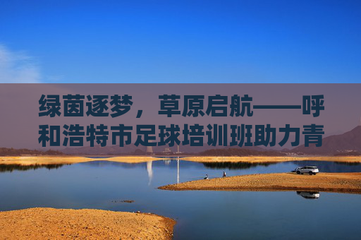 绿茵逐梦,草原启航——呼和浩特市足球培训班助力青少年成长,呼和浩特足球培训班,绿茵逐梦,助力青少年成长 绿茵逐梦,草原启航——呼和浩特市足球培训班助力青少年成长,呼和浩特足球培训班,绿茵逐梦,助力青少年成长