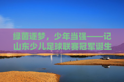 绿茵逐梦,少年当强——记山东少儿足球联赛冠军诞生记,绿茵逐梦少年强——山东少儿足球联赛冠军诞生 绿茵逐梦,少年当强——记山东少儿足球联赛冠军诞生记,绿茵逐梦少年强——山东少儿足球联赛冠军诞生