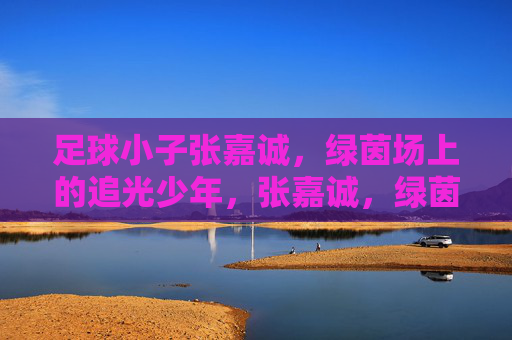 足球小子张嘉诚，绿茵场上的追光少年，张嘉诚，绿茵场上的追光少年