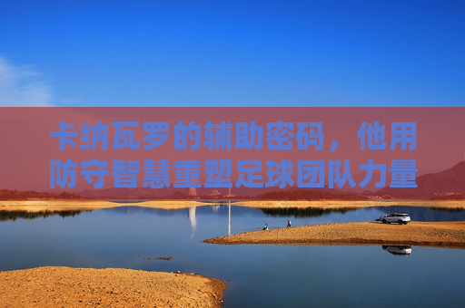 卡纳瓦罗的辅助密码，他用防守智慧重塑足球团队力量，卡纳瓦罗的防守智慧，重塑足球团队力量的密码