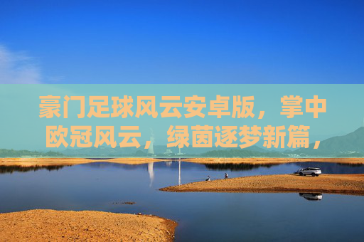 豪门足球风云安卓版，掌中欧冠风云，绿茵逐梦新篇，豪门足球安卓版，掌中欧冠逐梦新篇