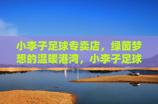 小李子足球专卖店，绿茵梦想的温暖港湾，小李子足球专卖店，绿茵梦想的温暖港湾